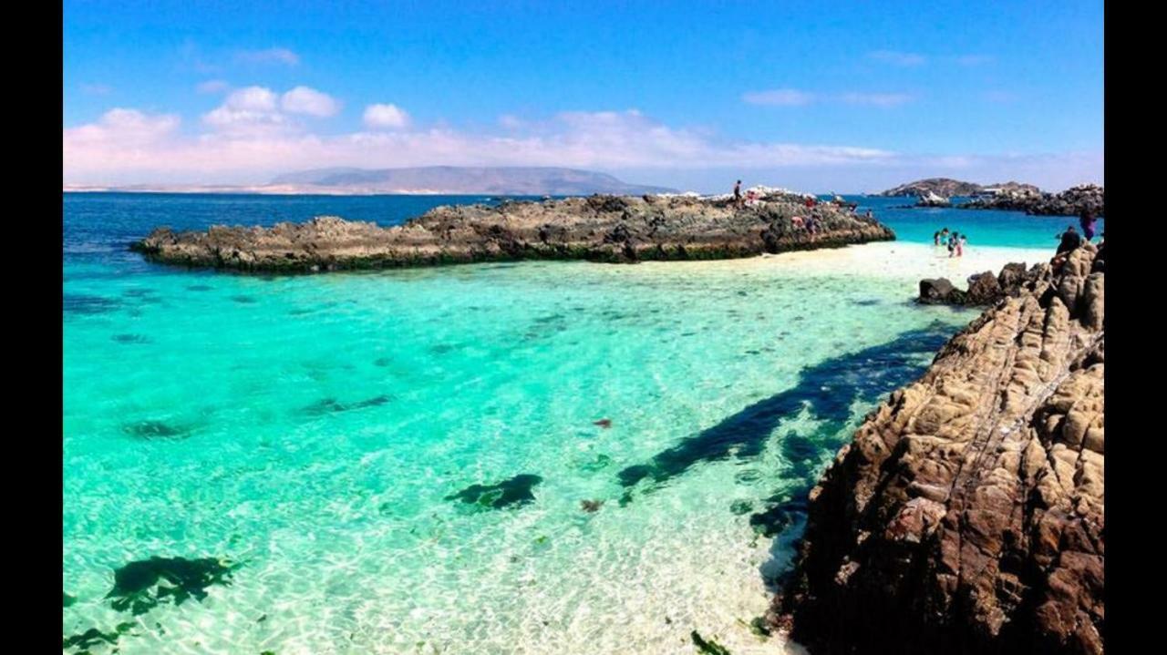 Condominio Bahía Inglesa Eksteriør billede